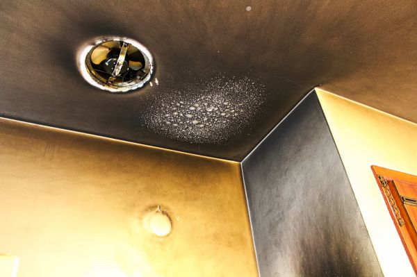 Smoke Damage Remediation in Anderson